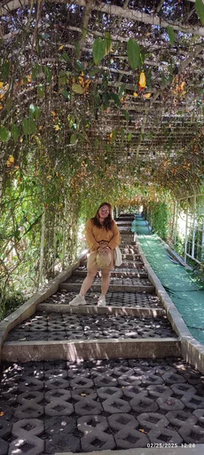 FAYE, 33